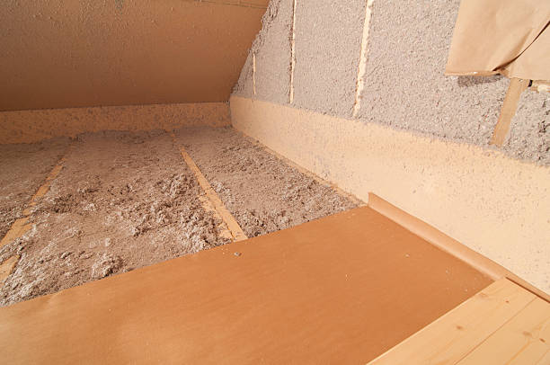Best Spray Foam Insulation  in Ferrysburg, MI